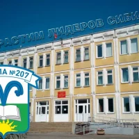 МБОУ СОШ №207