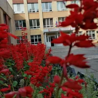 МБОУ "СОШ №32 с уиоп" г.Набережные Челны