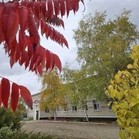 МБОУ БОЛЬШЕБАБИНСКАЯ СШ