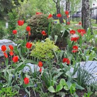 Детский сад №248 г. Уфа