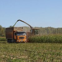 Отдел аграрной политики и социального обустройства села Куйбышевского муниципального района Калужской области