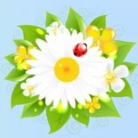 МАДОУ дс №32 "Ромашка"