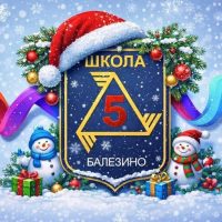 МБОУ "Балезинская средняя школа №5"