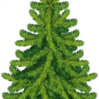 МБДОУ "Д/с №26 "Ёлочка"