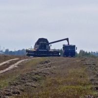 Управление сельского хозяйства адм. Вачского муниц.округа