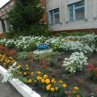 МКОУ "Добринская СОШ" Лискинский район