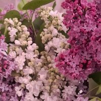 ГБДОУ "Детский сад №1 "Радуга" с.Гендерген