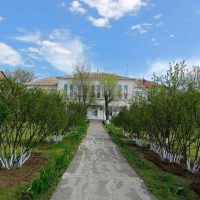 МБОУ Киевская СШ