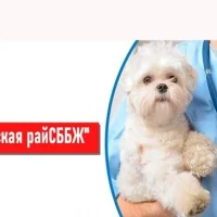 ГБУ ПО «Наровчатская райСББЖ»