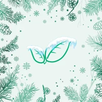 ГОКУ ИО СКШ г. Саянска