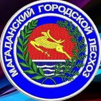 МБУ "Магаданский городской лесхоз"