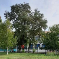 МОУ Ново-Томышевская ош