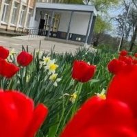 МКОУ СОШ 4 с.Красное Грачевский муниципальный округ