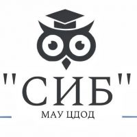 МАУ ЦДОД "СИБ"