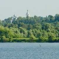 МКУ "ТУ Софьинское"