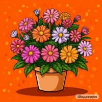 Мои цветочки