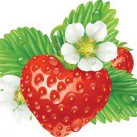 МДОУ "Детский сад №11 "Земляничка"