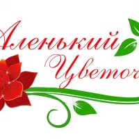 МБДОУ ДСКВ № 31 г.Ейска МО Ейский район