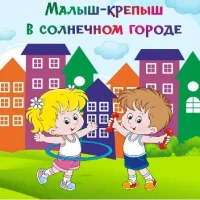 МАДОУ «Центр развития ребенка - детский сад №3»