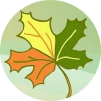 Чудовский центр социального обслуживания