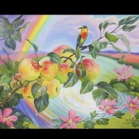 БДОУ МО Динской район "Детский сад №26"