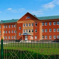 Архангельская ЦРБ