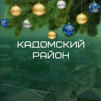 Кадомский район