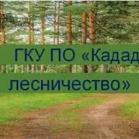 ГКУ ПО "Кададинское лесничество"