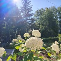 МБОУ СОШ № 66