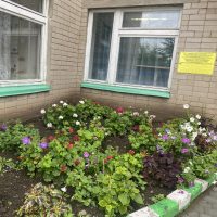 Детский сад « Ручеёк» с. Старошешминск Нижнекамский район