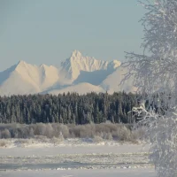 Администрация СП "Приуральское"