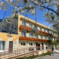 ЛОГБУ «Всеволожский ДИ»