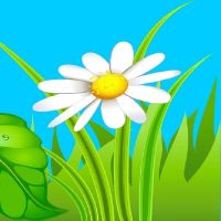 МБДОУ "Детский сад №5 "Ромашка"