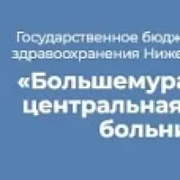 ГБУЗ НО "БОЛЬШЕМУРАШКИНСКАЯ ЦРБ"