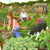 Советы хозяйкам