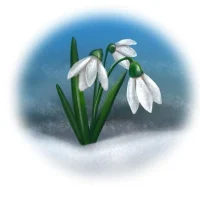 МБДОУ детский сад №6 "Подснежник"