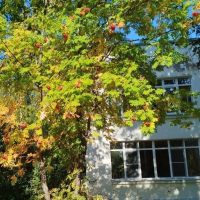 МБДОУ № 62 "Родничок"