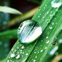 МБДОУ № 23 г. Пензы "Росиночка"