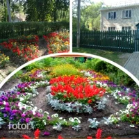 МКОУ "Которская ООШ"