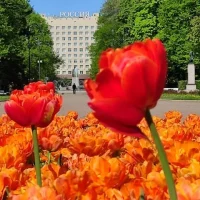 АО "Московский парк Победы"
