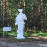 МАУ  "ДОЗЛ им. В. Дубинина"