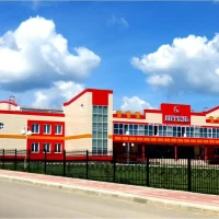 МАУ ФОК "Витязь"