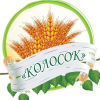 МБДОУ 6 Колосок