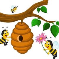 Новости 39 "Весёлый улей"