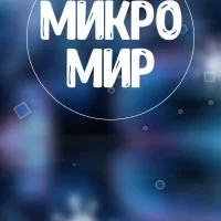 Микромир