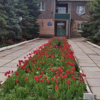 МДОУ детский сад № 9 "Ласточка", с.Соломенское СК