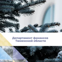 Департамент финансов Тюменской области