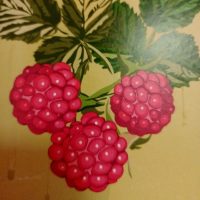 МДОБУ" Медведевский детский сад №1 " Ягодка"