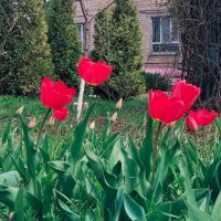 МОУ детский сад 60