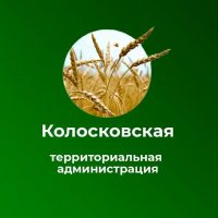 КОЛОСКОВСКАЯ ТЕРРИТОРИАЛЬНАЯ АДМИНИСТРАЦИЯ